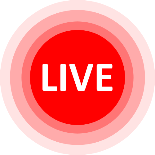 Bokep Live Show